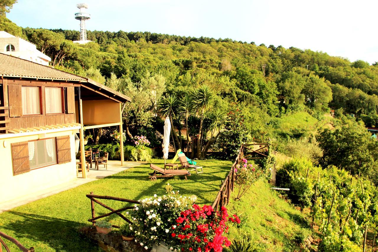 Chalet Annie Villa Sorrento Dış mekan fotoğraf